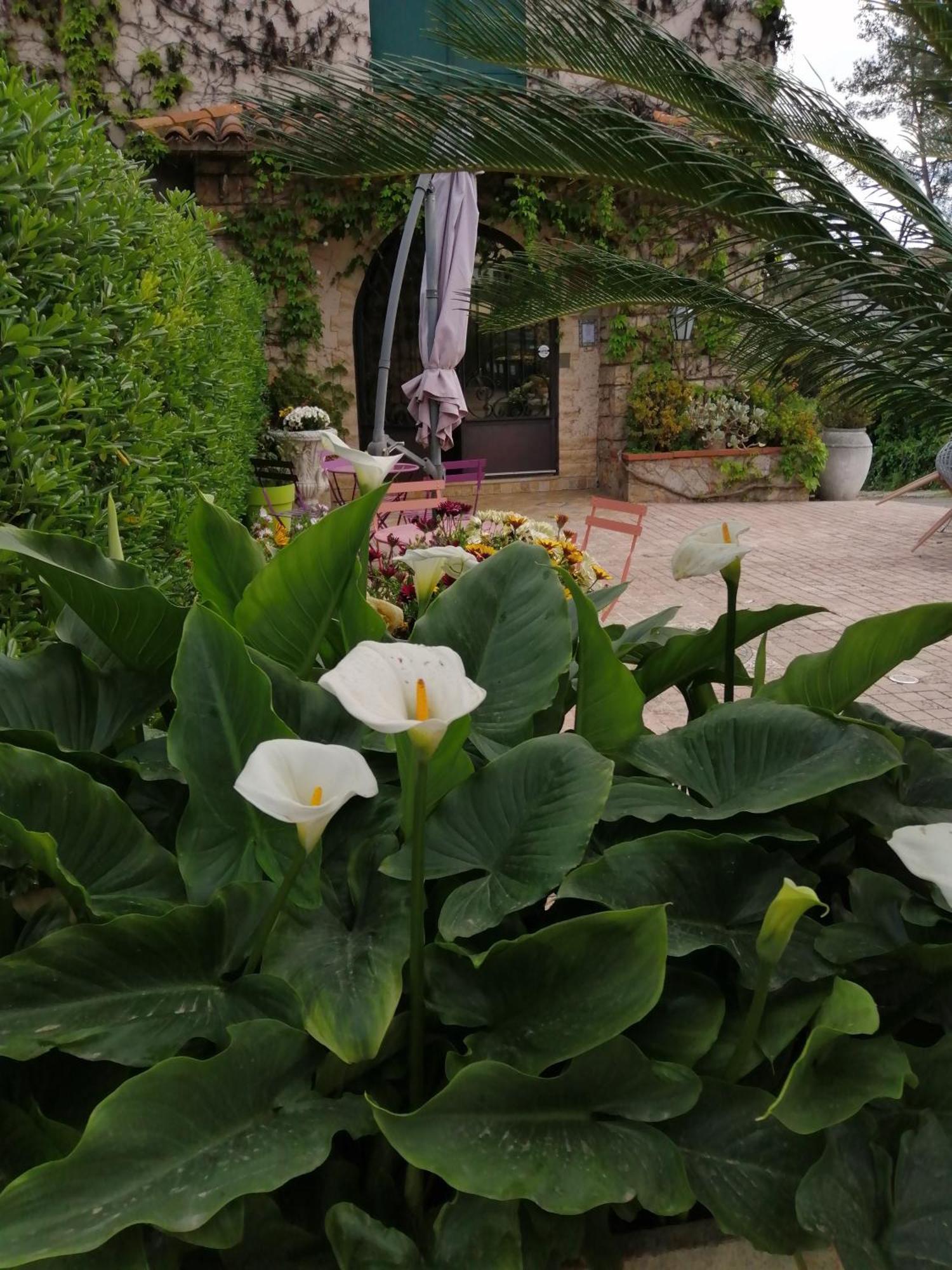 Auberge Les Aromes Грас Екстериор снимка